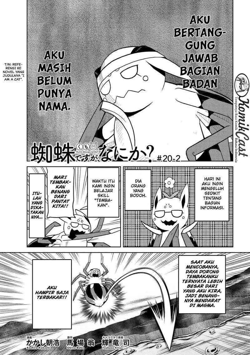 Kumo desu ga, Nani Ka?